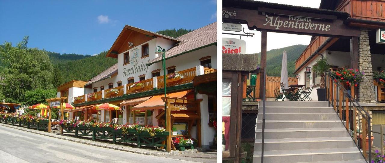 Haus Lenz Ferienwohnungen - Fam Ostermann Пухберг-ам-Шнеберг Экстерьер фото